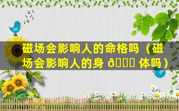 磁场会影响人的命格吗（磁场会影响人的身 🐟 体吗）
